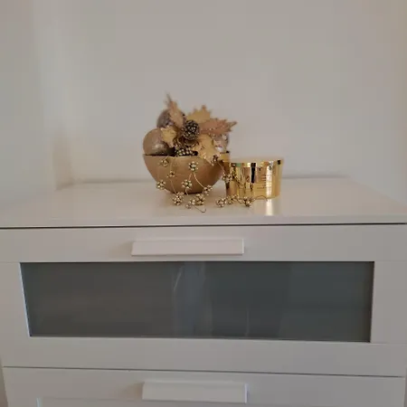 студио дарис