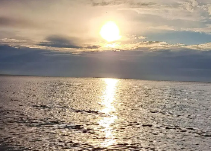 студио дарис 네세부르